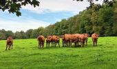 Trail Walking Spa - autour de Warfaaz - Photo 4