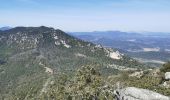 Trail Walking Brignoles - l'Amarron - Photo 17