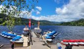 Tocht Stappen Hinterzarten - Hinterzarten - Titisee - Photo 1