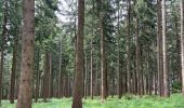 Tour Wandern Thalgau - De Wasenmoos à la Chapelle du Kolomansberg - Photo 13