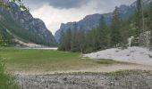 Trail Walking Toblach - Dobbiaco - lac de landro - Photo 1