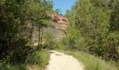 Trail Trail Tremp - Tremp 21,5km - Photo 13