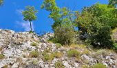 Excursión Senderismo Bagni di Lucca - Aller-retour Vico Pancellorum - Schiena d'Asino - Photo 1