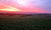 Tour Wandern Auxerre - auxerre vezelay - Photo 10