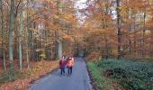 Tocht Stappen Sint-Genesius-Rode - Rhode St Genèse 1119 - Photo 8