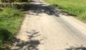 Trail Running Sainte-Anne - Belle mare - Photo 1