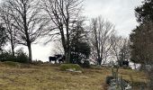Randonnée Marche Le Tholy - Sentier de la Roche Au Blaireau depuis le gîte  - Photo 8