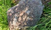 Trail Walking Grandfontaine - Positions fortifiées du Donon sentier des casemates - nord - Photo 11