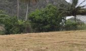 Tocht Stappen Sainte-Anne - grand parcours de randonnée autour du bourg de St Anne.  - Photo 1