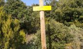 Trail Walking Boule-d'Amont - Serrabonne autour du prieuré  - Photo 5
