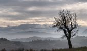 Percorso A piedi Baiso - Visignolo - La Baragalle - Il Borgo - Casalecchio - Visignolo - Photo 7