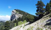 Tour Wandern Romeyer - Dieois - Rochers de plautret - Jul20 - Photo 5