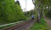 Tocht Te voet Emmelshausen - Hunsrückbahn-Wanderweg - Photo 7