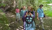 Trail Walking Hotton - Ménil Favay - Photo 13
