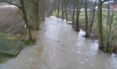 Tour Zu Fuß Kaltennordheim - Feldatalrundweg - Photo 2