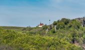 Trail On foot Leutenbach - Ehrenbachtalweg - Photo 10