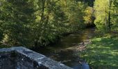 Tocht Stappen Fondamente - st Maurice de Sorgues - Photo 1