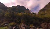 Tocht Trail Salazie - Sentier scoot/ la redoute - Photo 5