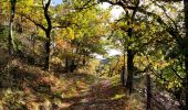 Trail Walking Lierneux - Promenade vers la réserve naturelle de Colanhan (8km)  - Photo 12