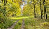 Trail Walking Compiègne - en forêt de Compiègne_43_le Petit Octogone et vers la Faisanderie - Photo 5