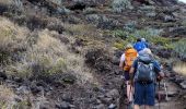 Randonnée Marche San Cristóbal de La Laguna - Punta del Hidalgo  - Chinamada  - Photo 8