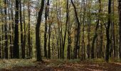 Tocht Te voet Bad Loipersdorf - Kreuz- & Querpfad, lange Variante (Weg 9) - Photo 9