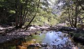 Randonnée Marche Saint-Mélany - Le chemin des Lauzes - Photo 3