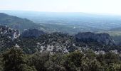 Tocht Stappen Gigondas - Les Dentelles Sarrazines d'Est en Ouest - Photo 2