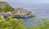 Excursión Senderismo Anse-Bertrand - Guadeloupe - Pointe de la Petite Vigie à Pointe de la Grande Vigie - Photo 12