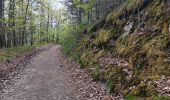 Trail Walking Stoumont - stoumont :  aller via corniche , retour via amblève - Photo 14