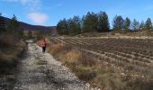 Excursión Senderismo Les Omergues - des Omergues à Montfroc - Photo 1