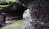 Excursión Senderismo Pierre-Percée - Roches et vierge de Vohné - Photo 1