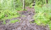 Excursión Senderismo Orbey - Tour des 3 lacs (lac noir, blanc, Forlet) Vosges - Photo 13