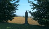 Trail On foot Fernelmont - Balade du Chant d'Oiseau - Photo 1