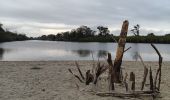 Randonnée Marche Argelès-sur-Mer - mas larrieu dans la tourmente automnale   - Photo 6