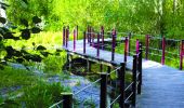 Trail Walking Meaux - Meaux :Gare>Patis>Cathedrale> Gare - Photo 1