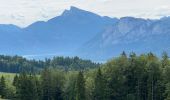 Randonnée Marche Thalgau - De Wasenmoos à la Chapelle du Kolomansberg - Photo 16