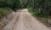 Trail Walking Le Malzieu-Ville - LE MALZIEU - APCHER  - Photo 5