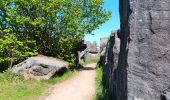 Trail Walking Liège - angleur gare . sart tilman via bois St Laurent.retour via bois St jean - Photo 10