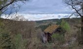 Trail Walking Houffalize - rando engreux 5 -05-2023 - Photo 4