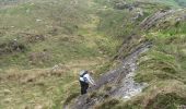 Tour Zu Fuß West Cork - Peakeen Ridge Loop Walk - Photo 4