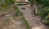 Percorso Marcia Erquy - POINTE DE PLENEUF DEPUIS LE CAMPING LA VALLÉE  - Photo 20
