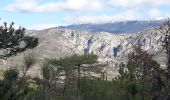 Trail Walking Moustiers-Sainte-Marie - MOUSTIERS Le tour de Repentance n o - Photo 8