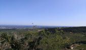 Tour Wandern Solutré-Pouilly - Solutré - Photo 2