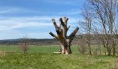 Excursión Senderismo Gémenos - Espigoullier vers Nans les pins  - Photo 15