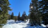 Randonnée Raquettes à neige Vaulnaveys-le-Haut - Lac Achard - Photo 16