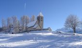 Tour Zu Fuß Laax - Panoramaweg Falera-Laax Murschetg - Photo 10