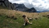 Tour Wandern Saint-Pierre-de-Chartreuse - Correrie_Col de la Ruchère_Petit Som_Col de l'Echaud_Pas du Loup - Photo 20