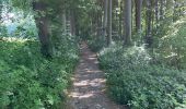 Randonnée Marche Braine-l'Alleud - BE-Braine-l'Alleud - BSI - Promenade du Seigneur Isaac - Photo 2