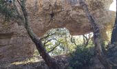 Excursión Senderismo Signes - Arches de Sioux blanc et l'éléphant de pierre  - Photo 4